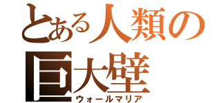 とある人類の巨大壁（ウォールマリア）