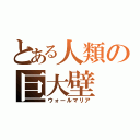 とある人類の巨大壁（ウォールマリア）