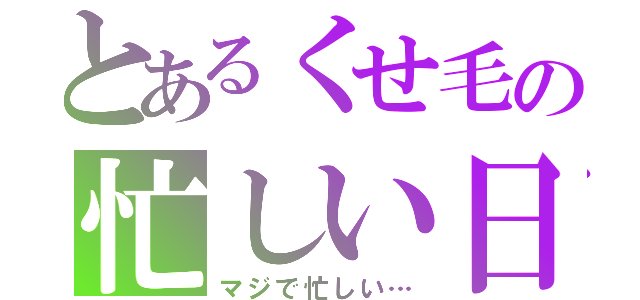 とあるくせ毛の忙しい日々（マジで忙しい…）