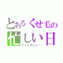 とあるくせ毛の忙しい日々（マジで忙しい…）