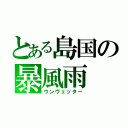 とある島国の暴風雨（ウンヴェッター）