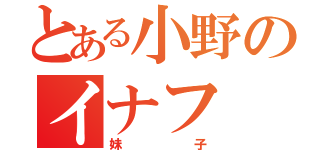 とある小野のイナフ（妹子）