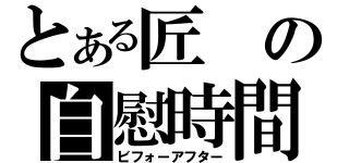 とある匠の自慰時間（ビフォーアフター）