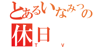 とあるいなみつの休日（ＴＶ）