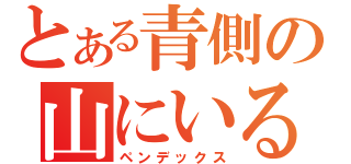 とある青側の山にいるね（ペンデックス）