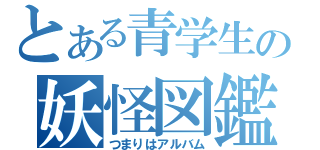 とある青学生の妖怪図鑑（つまりはアルバム）