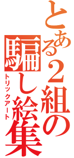 とある２組の騙し絵集　　（トリックアート）