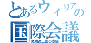 とあるウィリアムの国際会議（発展途上国の支援）