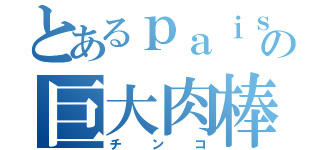 とあるｐａｉｓの巨大肉棒（チ　ン　コ）