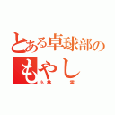 とある卓球部のもやし（小林  零）