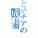 とあるチアの成長期（カンチガイ）