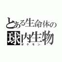 とある生命体の球内生物（ポケモン）