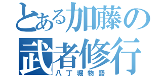 とある加藤の武者修行（八丁堀物語）