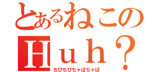 とあるねこのＨｕｈ？（ちぴちぴちゃぱちゃぱ）