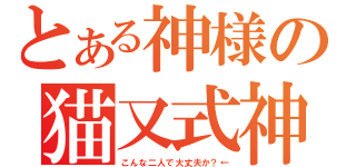 とある神様の猫又式神（こんな二人で大丈夫か？←）