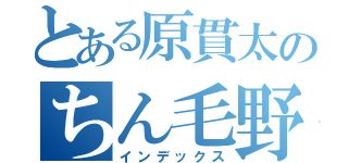 とある原貫太のちん毛野郎（インデックス）