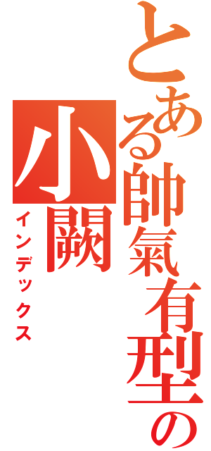 とある帥氣有型の小闕（インデックス）