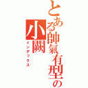 とある帥氣有型の小闕（インデックス）