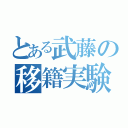 とある武藤の移籍実験（）