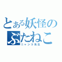 とある妖怪のぶたねこ。（ニャンコ先生）