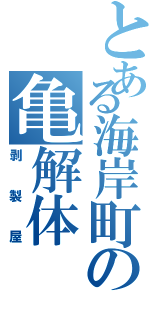 とある海岸町の亀解体（剥製屋）