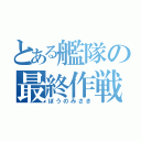 とある艦隊の最終作戦（ぼうのみさき）