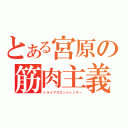 とある宮原の筋肉主義（トライアスロンジャンキー）