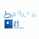 とあるうんちっちの💩君（うんちっちだよー）