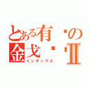 とある有爱の金戈铁马Ⅱ（インデックス）