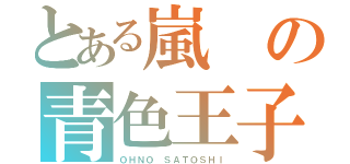 とある嵐の青色王子（ＯＨＮＯ ＳＡＴＯＳＨＩ）