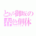 とある御坂の春色個体（１４５１０号）