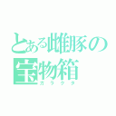 とある雌豚の宝物箱（ガラクタ）