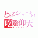 とあるシュエルの吃驚仰天（アセルメン）