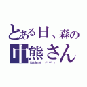 とある日、森の中熊さん（に出会ったー（°∀°））