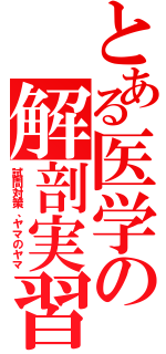 とある医学の解剖実習（試問対策、ヤマのヤマ）