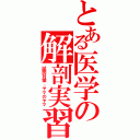 とある医学の解剖実習（試問対策、ヤマのヤマ）