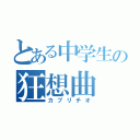 とある中学生の狂想曲（カプリチオ）