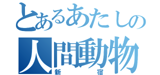 とあるあたしの人間動物（新宿）