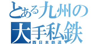 とある九州の大手私鉄（西日本鉄道）