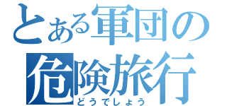 とある軍団の危険旅行（どうでしょう）