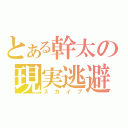 とある幹太の現実逃避（スカイプ）