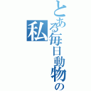 とある毎日動物の森で遊ぶの私（）