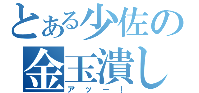 とある少佐の金玉潰し（アッ－！）