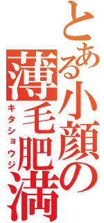 とある小顔の薄毛肥満（キタショウジ）