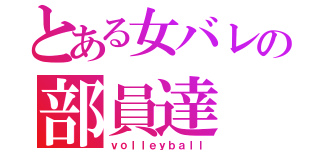 とある女バレの部員達（ｖｏｌｌｅｙｂａｌｌ）