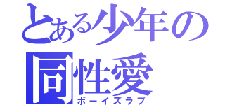 とある少年の同性愛（ボーイズラブ）