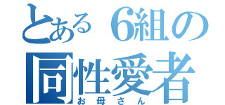 とある６組の同性愛者（お母さん）