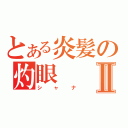 とある炎髪の灼眼Ⅱ（シャナ）