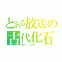 とある放送の古代化石（琥珀さん・・そんなお年に・・・・）