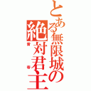 とある無限城の絶対君主（雷帝）